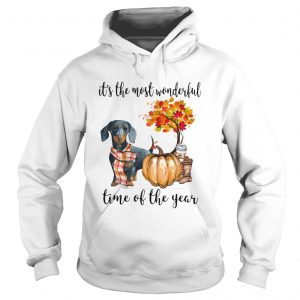 Dachshund pumpkin Its the most wonderful time of the year hoodie