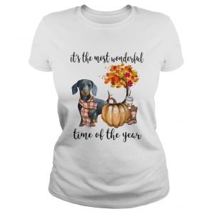 Dachshund pumpkin Its the most wonderful time of the year ladie stee