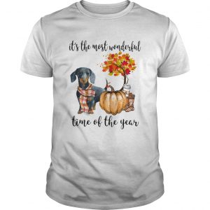 Dachshund pumpkin Its the most wonderful time of the year unisex