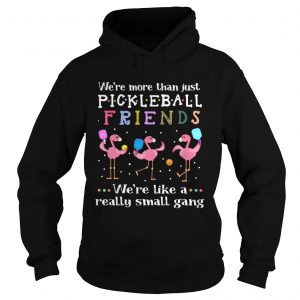 Flamingos were more than just pickleball Friends were like a really small gang hoodie