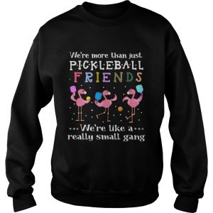 Flamingos were more than just pickleball Friends were like a really small gang sweatshirt