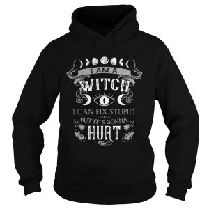 I am a witch I can fix stupid but its gonna hurt hoodie