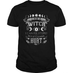 I am a witch I can fix stupid but its gonna hurt unisex