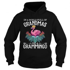 In A World Full Of Grandmas Be A Grammingo Funny Flamingo hoodie