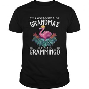 In A World Full Of Grandmas Be A Grammingo Funny Flamingo unisex