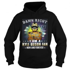 Nice Damn right 18 signature I am a Kyle Busch fan now and forever hoodsie