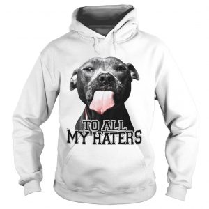 Pitbull to all my haters hoodie