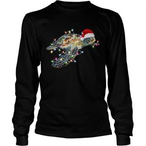 Turtle with Chirstmas hat and light longsleeve tee