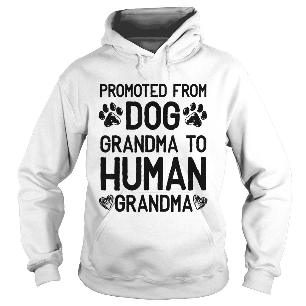 Premium Promoted From Dog grandma To Human grandma shirt