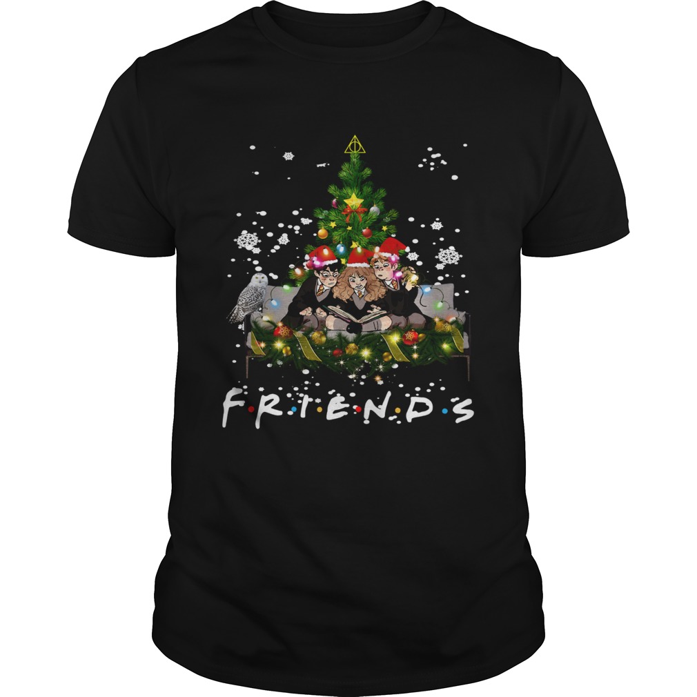 Friends Harry Potter Hermione And Ron Weasley Christmas Shirt