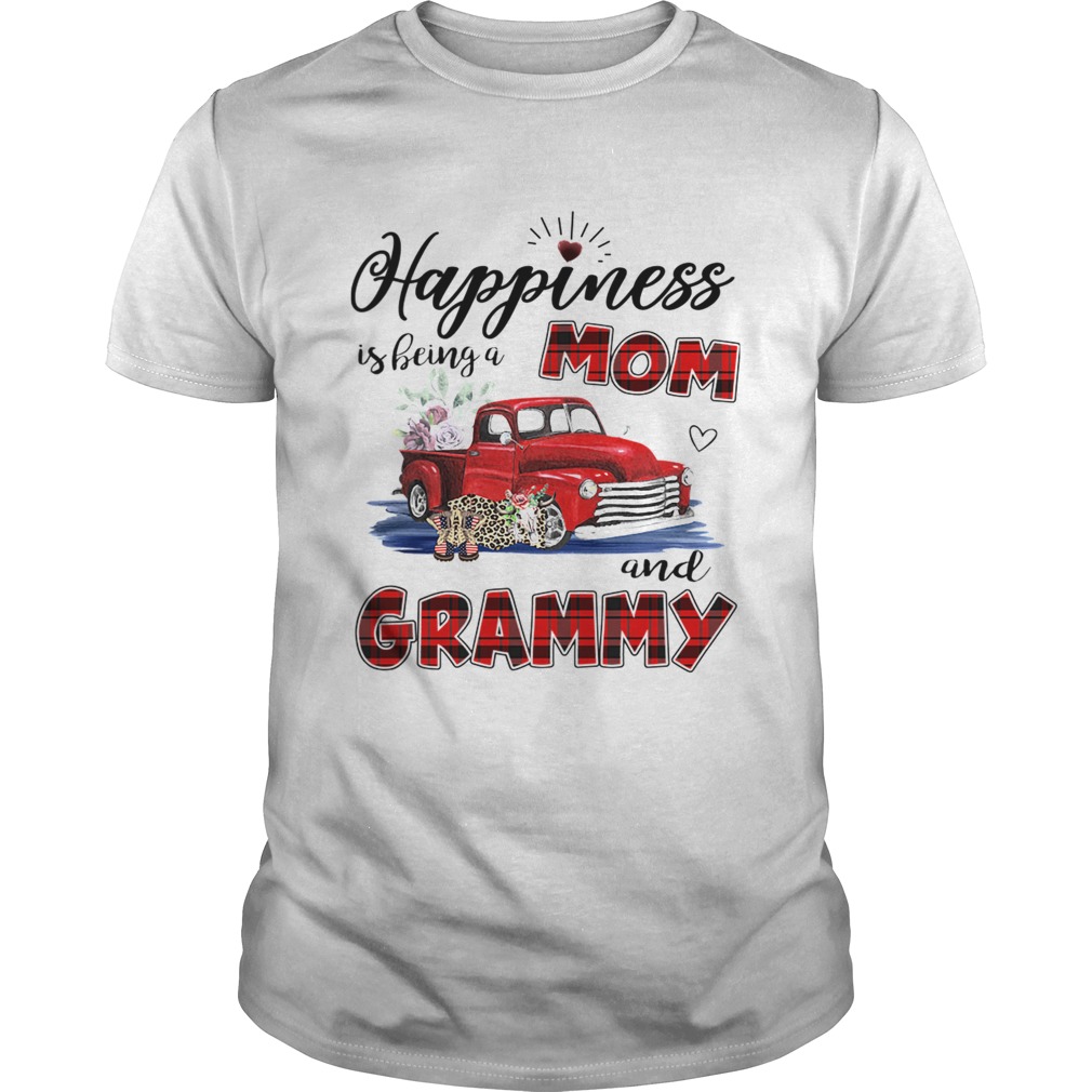 Happiness Is Being A Mom And Grandma Car Flower T-Shirt