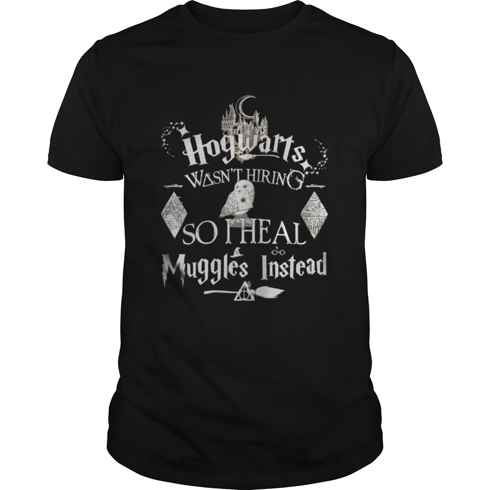 Hogwarts wasn’t hiring so I teach muggles instead shirt