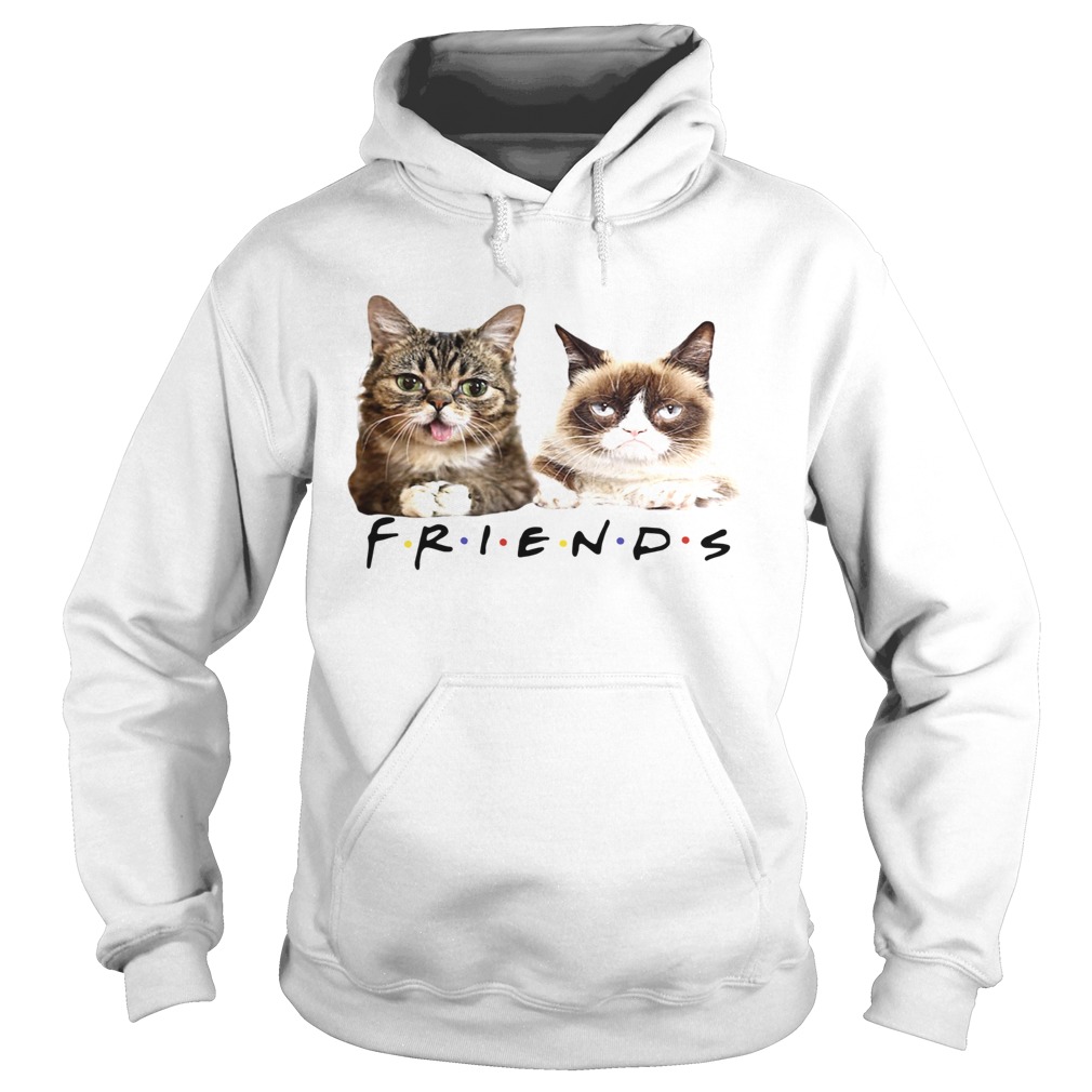 Lil Bub and Grumpy cat friends tv show shirt