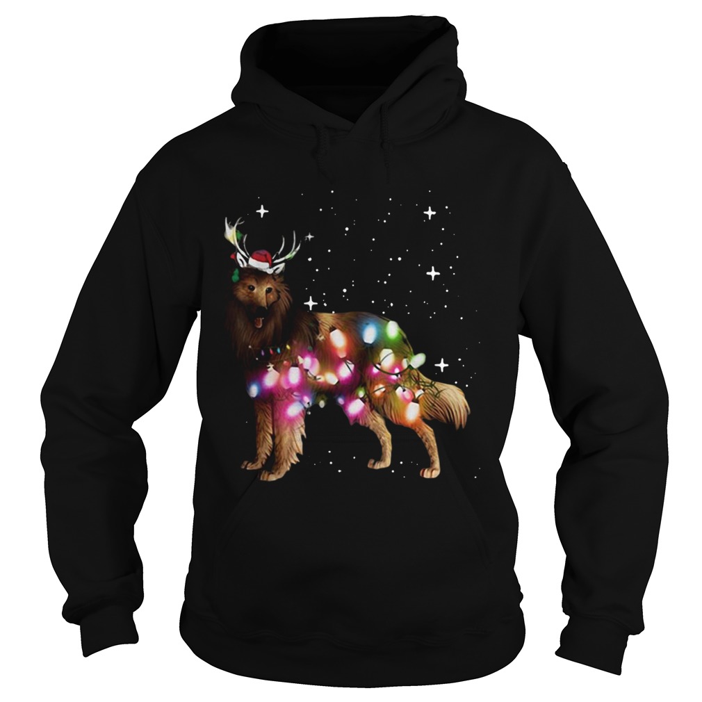 Belgian Tervuren Christmas Lights Sweatshirt