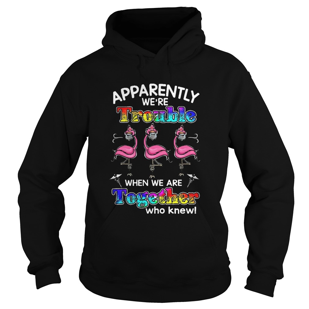 Flamingo Apparently Were Trouble When We Are Together Who Knew Coronavirus  Hoodie