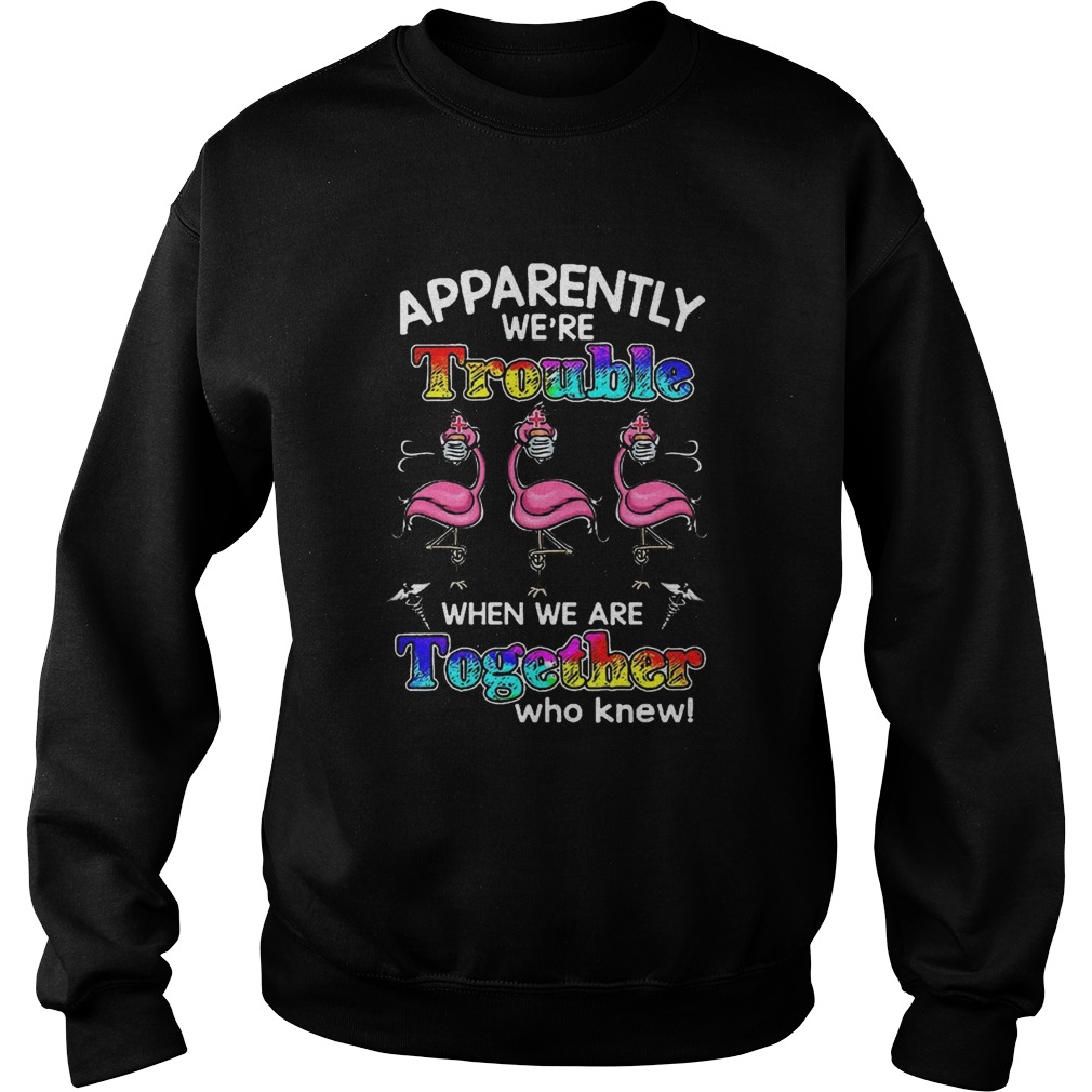 Flamingo Apparently Were Trouble When We Are Together Who Knew Coronavirus  Sweatshirt