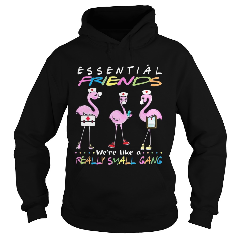 Flamingo Were More Than Just Essential Friends Were Like A Really Small Gang  Hoodie