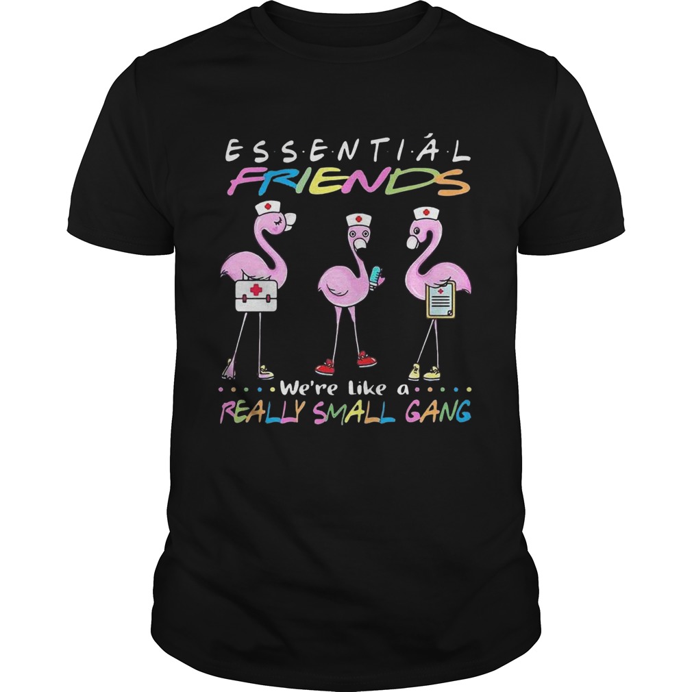 Flamingo Were More Than Just Essential Friends Were Like A Really Small Gang  Unisex