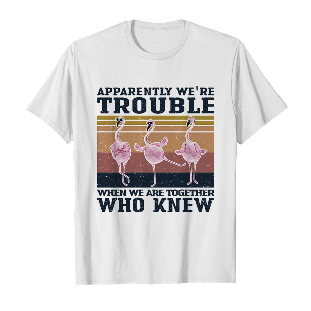 Flamingo apparently we’re trouble when we are together who knew vintage shirt