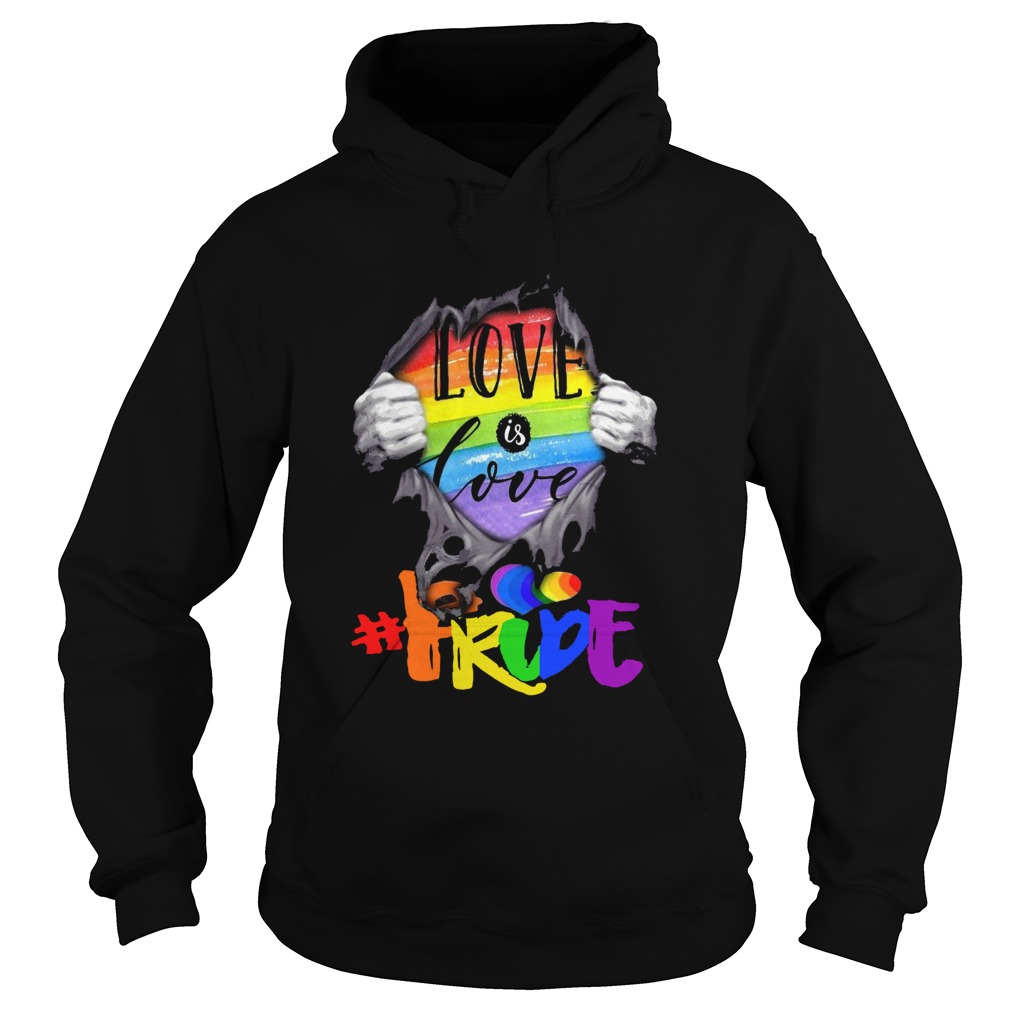 Lgbt Love Is Love  Hoodie