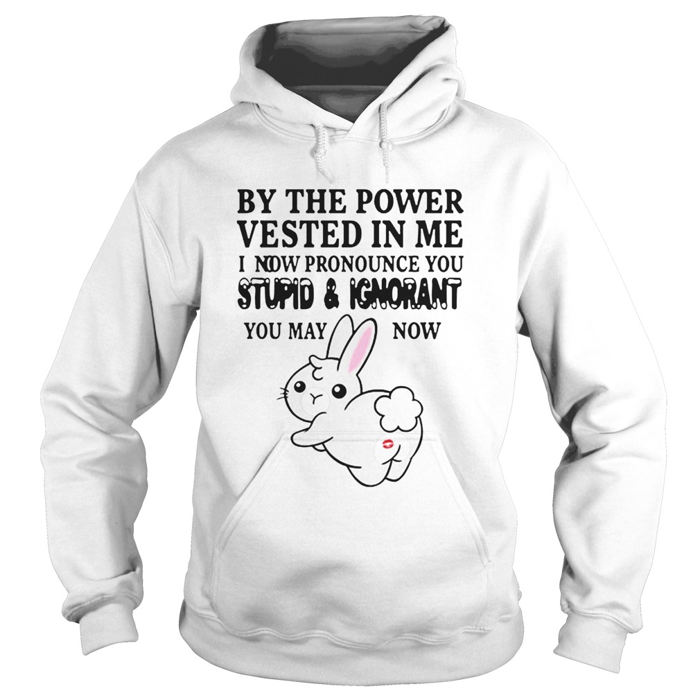 The Power Vested In Me I Now Pronounce You Stupid And Ignorant  Hoodie