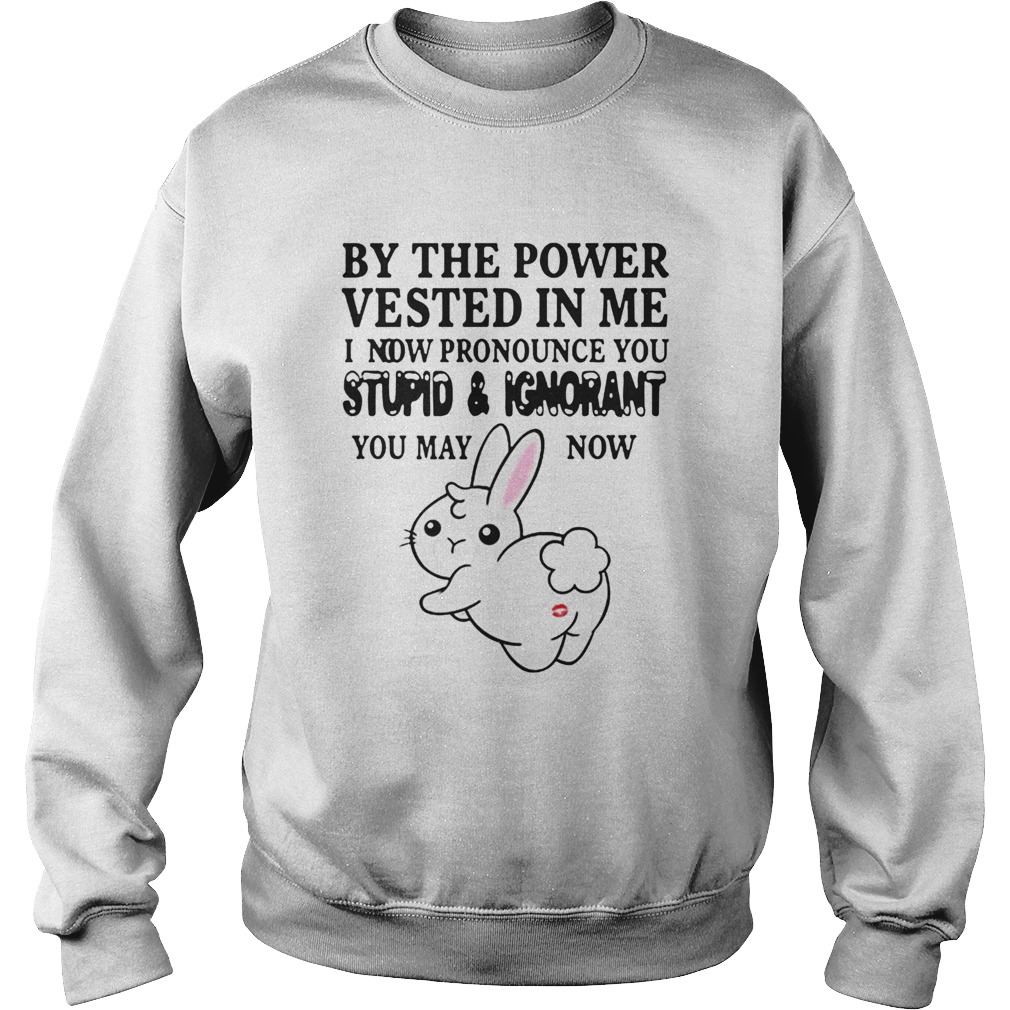 The Power Vested In Me I Now Pronounce You Stupid And Ignorant  Sweatshirt