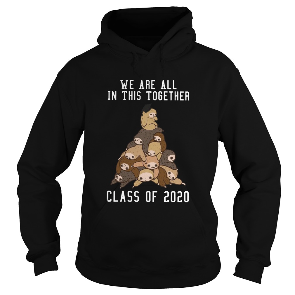 We Are All In This Together Class Of 2020  Hoodie