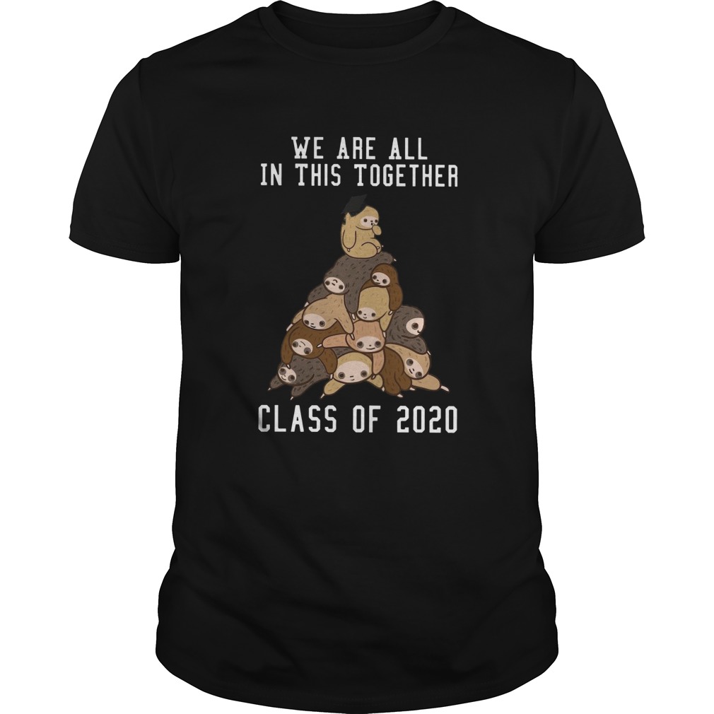 We Are All In This Together Class Of 2020 shirt