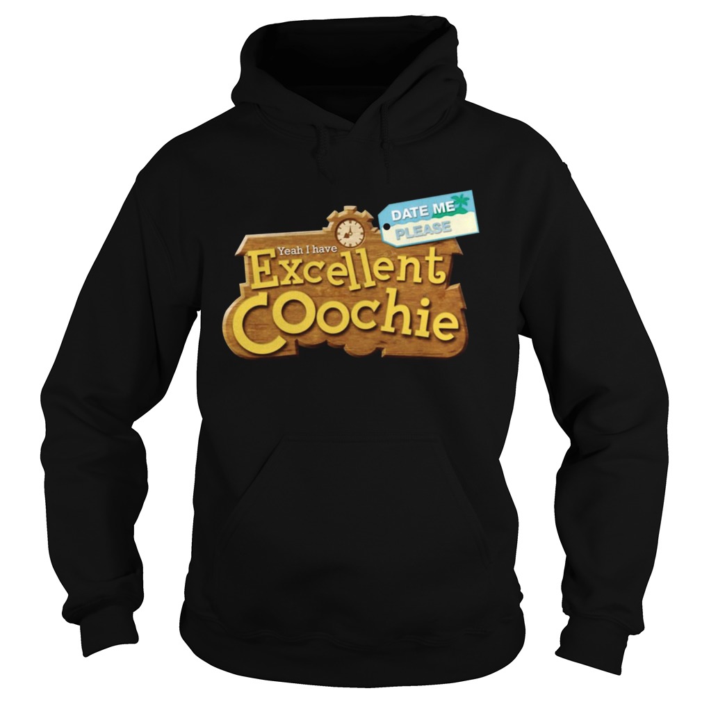 Yeah I Have Excellent Coochie Date Me Please Hoodie