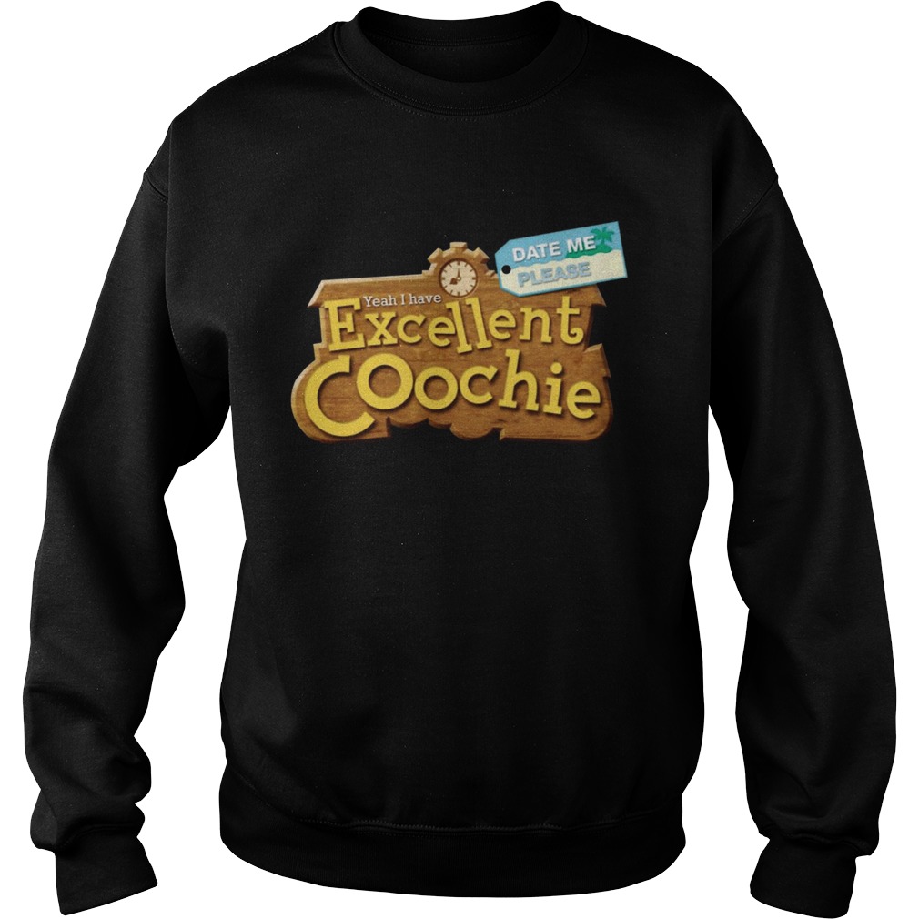 Yeah I Have Excellent Coochie Date Me Please Sweatshirt