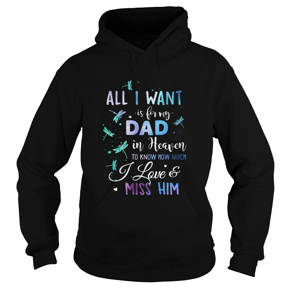 All I Want Is Being Dad In Heaven To Know How Much I Love Miss Him  Hoodie