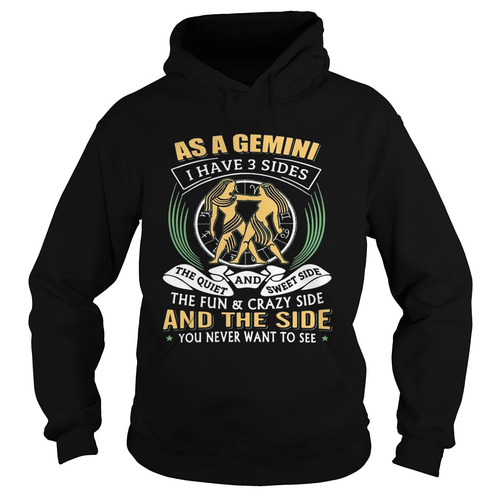 As a Gemini have 3 sides the quiet and sweet side the fun and crazy side  Hoodie