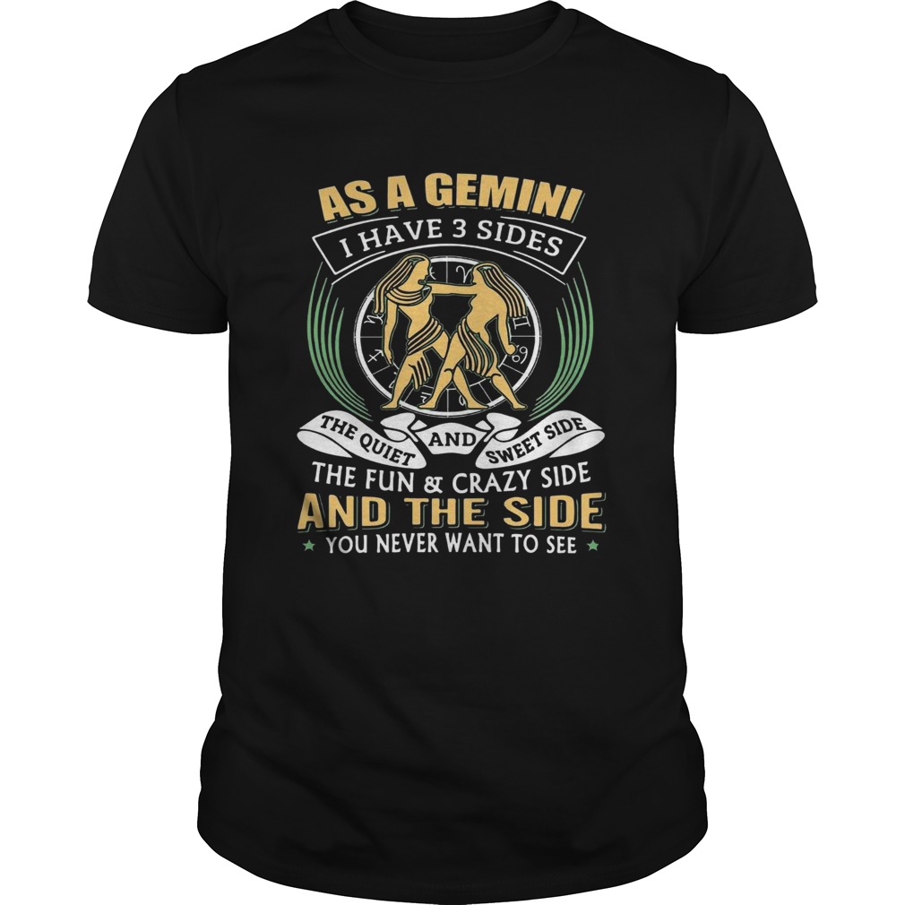 As a Gemini have 3 sides the quiet and sweet side the fun and crazy side shirt