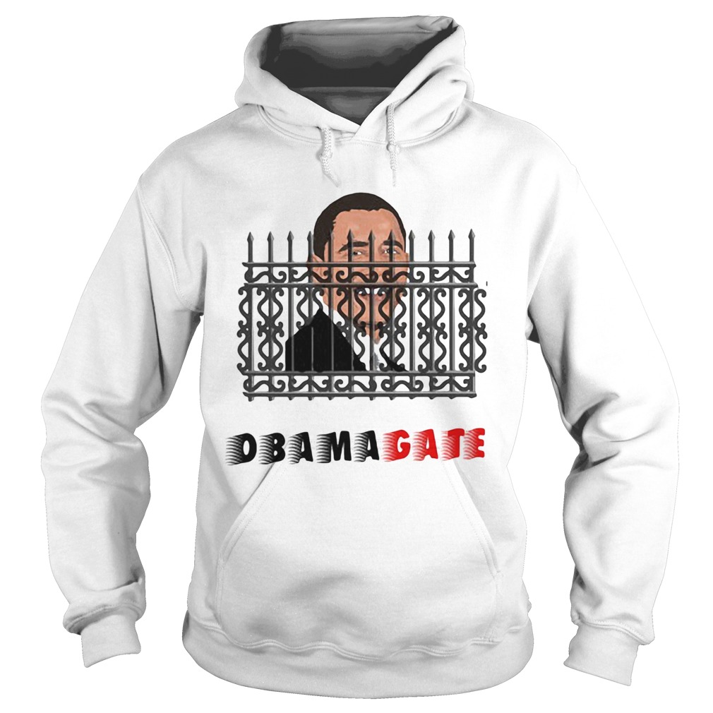 Barack Obama Gate Meme  Hoodie