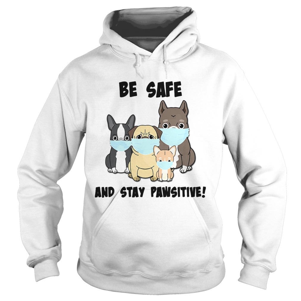 Dog Mask Be Safe And Stay Pawsitive  Hoodie