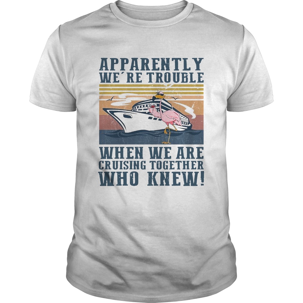 Flamingo Apparently Were Trouble When We Are Cruising Together Who Knew Vintage shirt