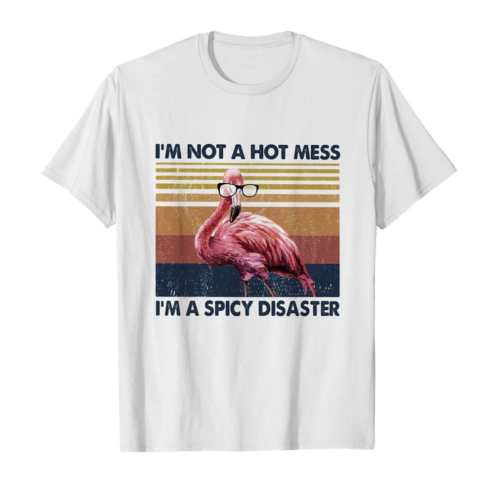 Flamingo I’m not a hot mess I’m a spicy disaster vintage shirt