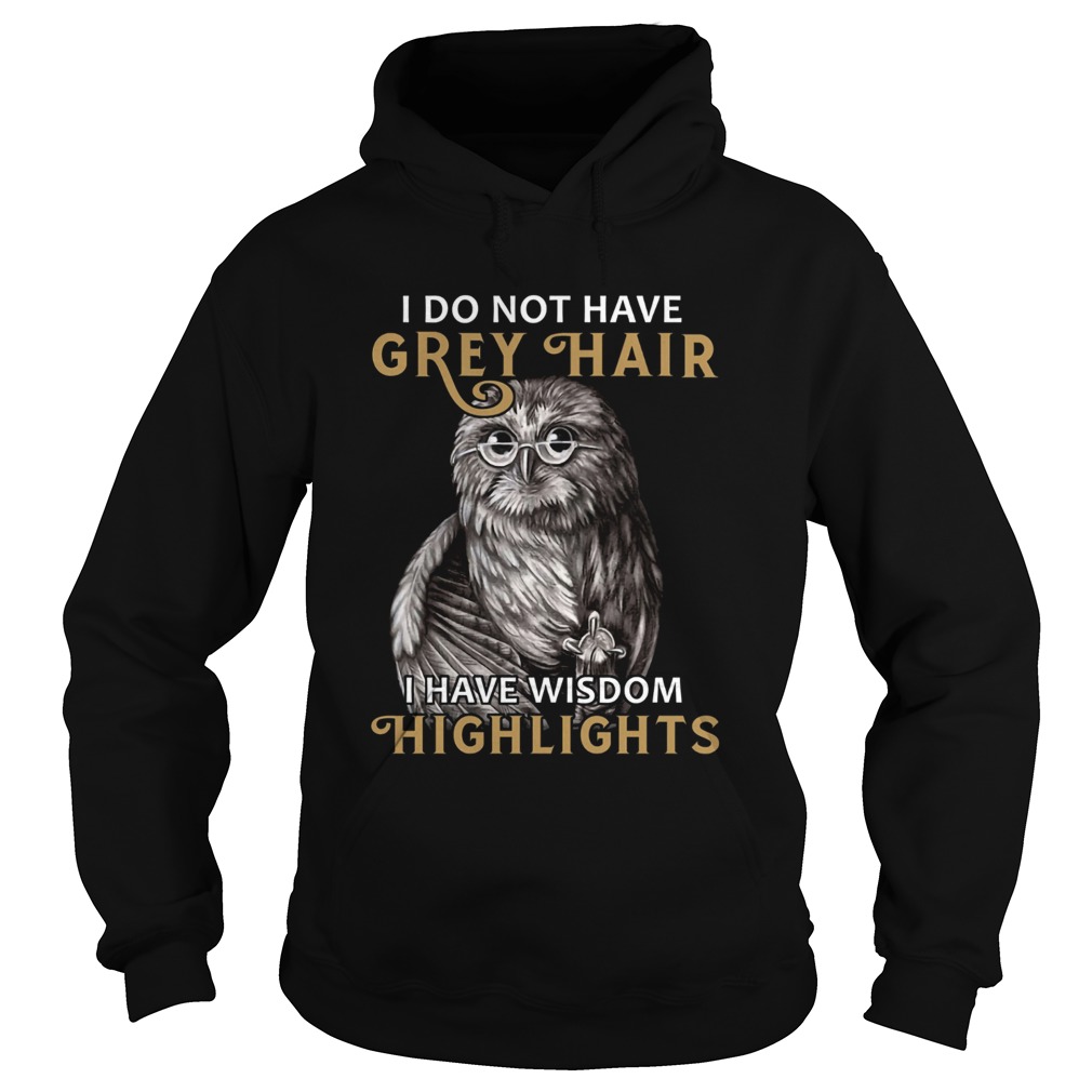 I do not have grey hair I have wisdom highlights  Hoodie