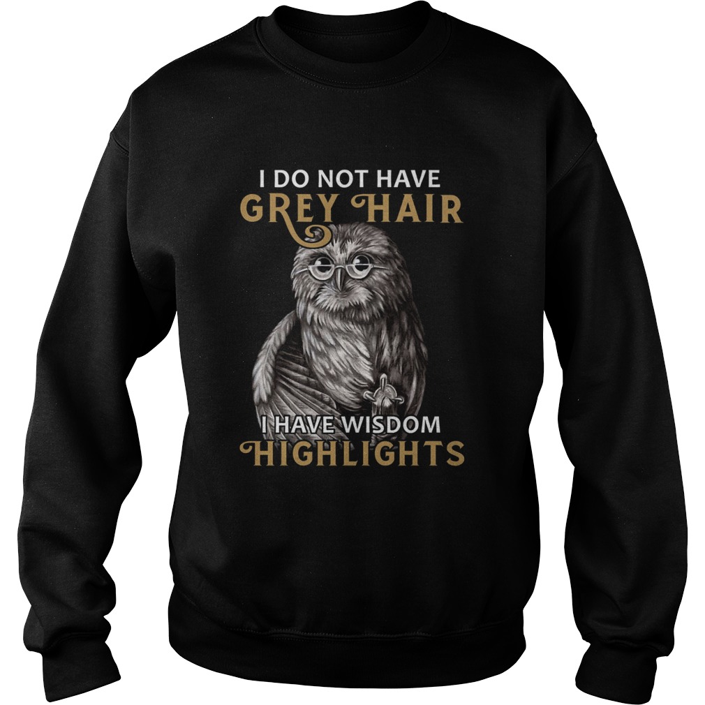 I do not have grey hair I have wisdom highlights  Sweatshirt