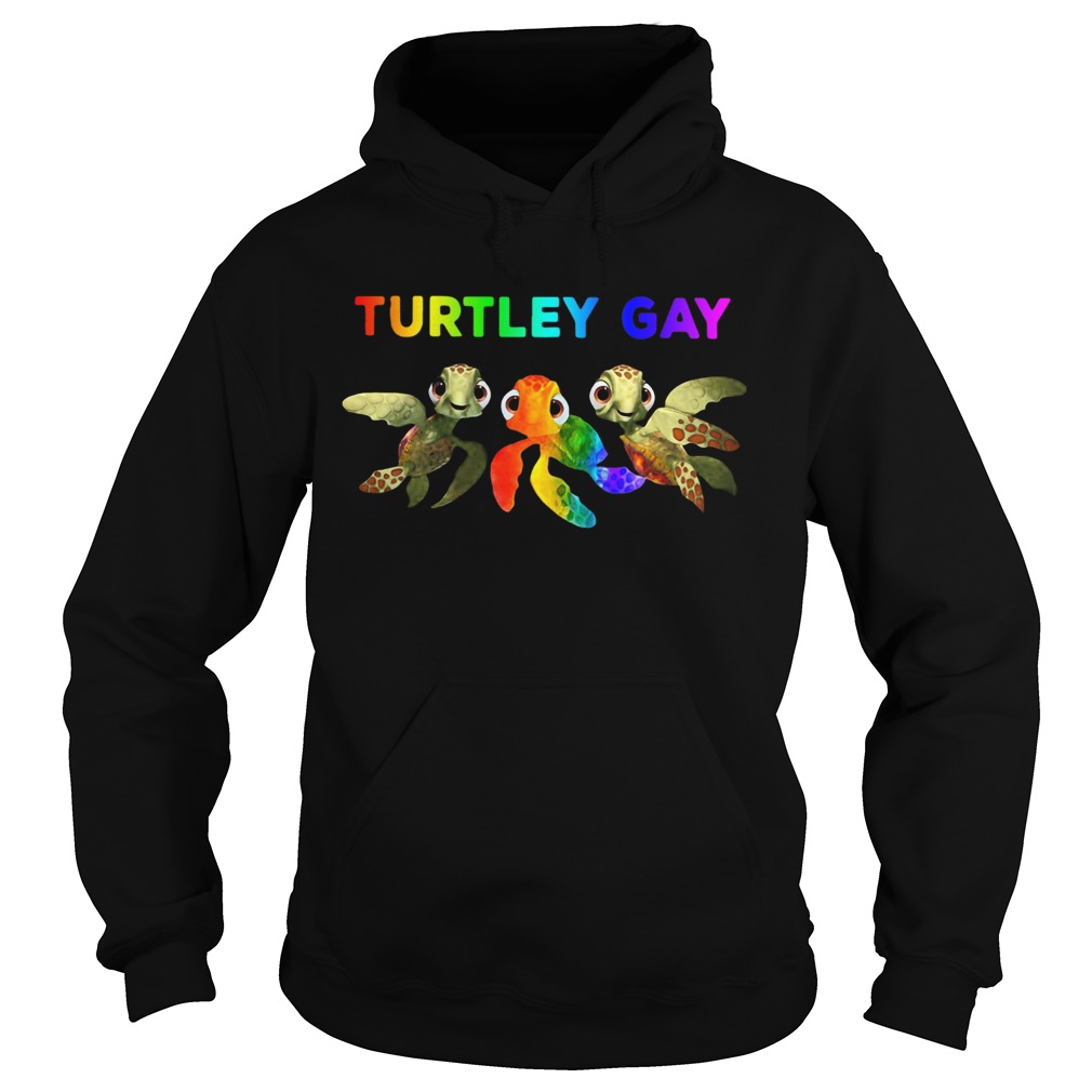 LGBT Turtley Gay  Hoodie