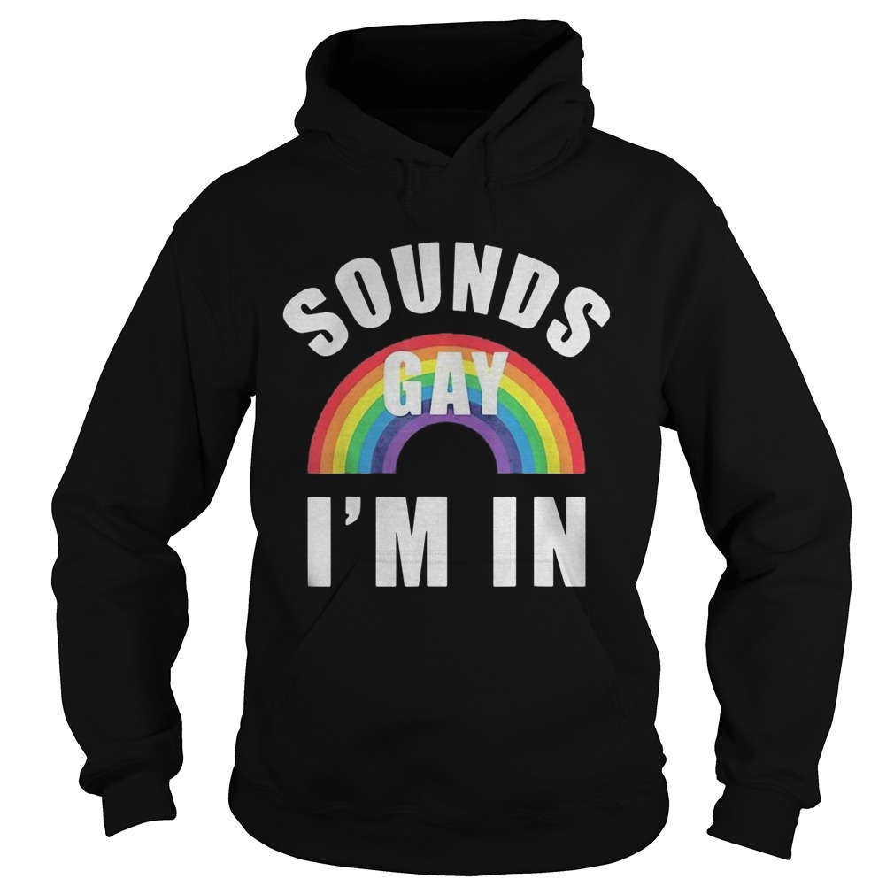 Sounds Gay Im In Funny Lgbt Gay Lesbian Bisexual  Hoodie