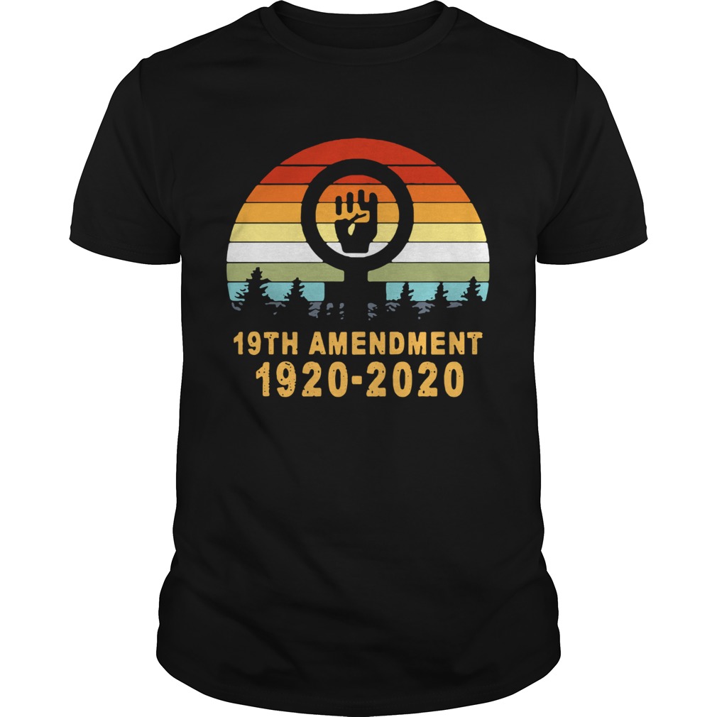 Vintage 19th Amendment 19202020 shirt