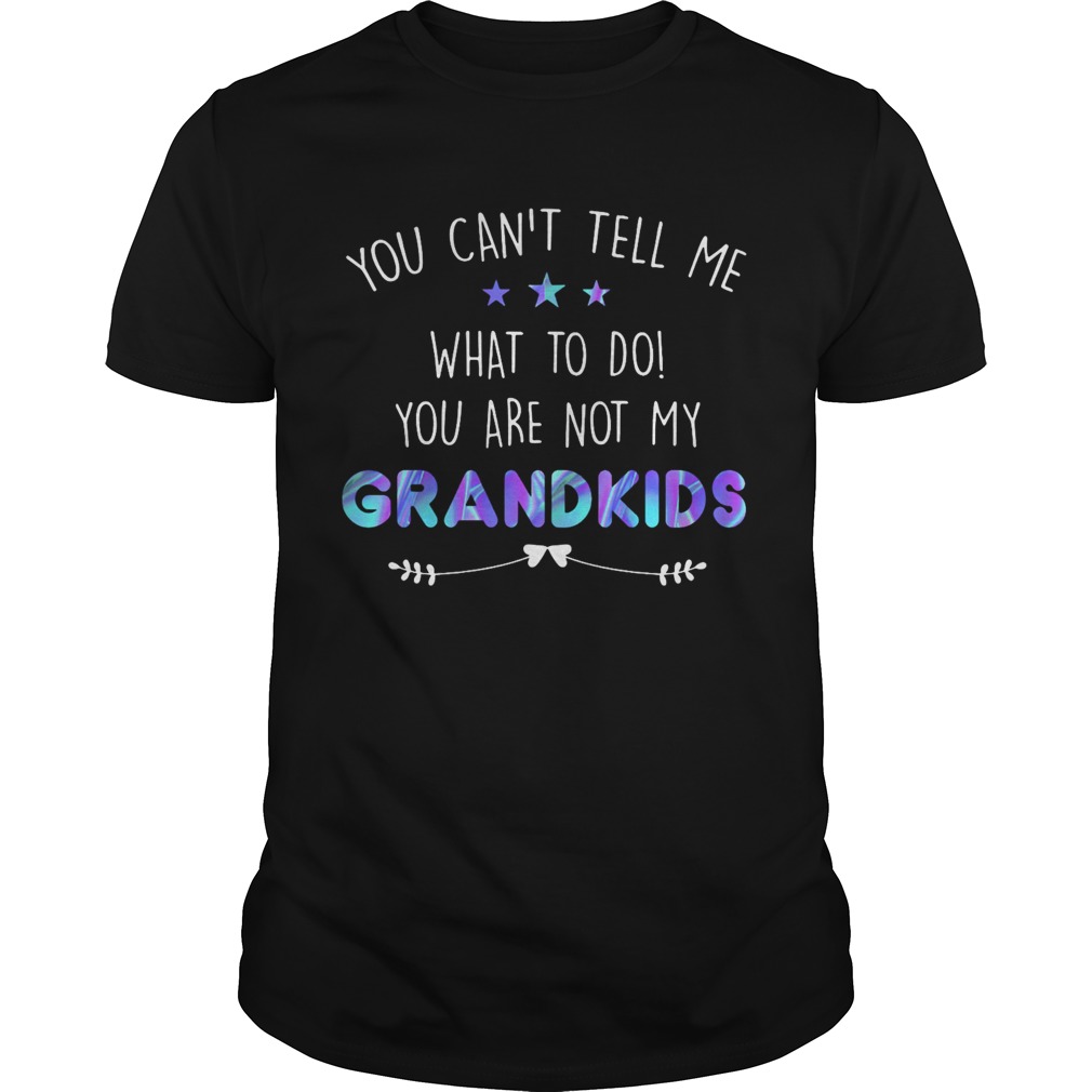 You cant tell me what to do you are not my grandkids stars shirt