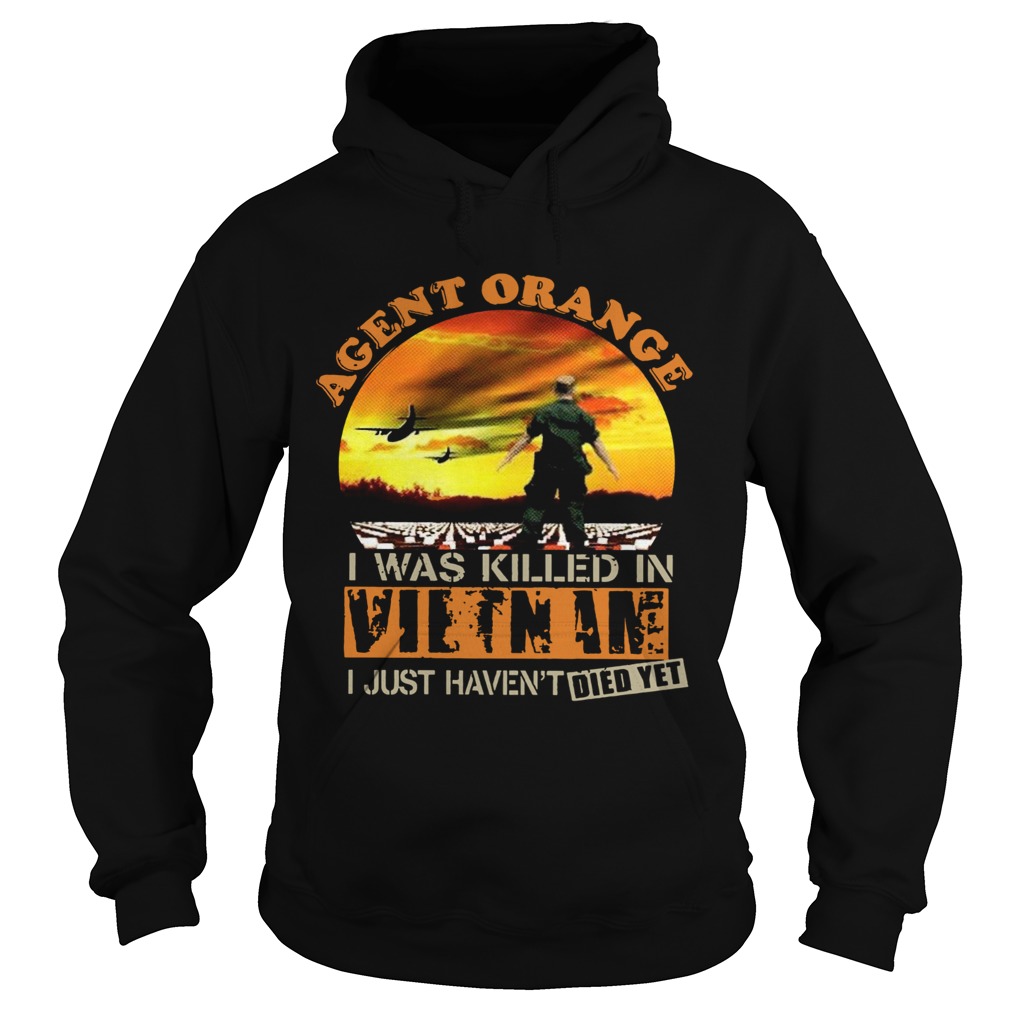 Agent Orange I Was Killed In Vietnam I Just Havent Died Yet  Hoodie