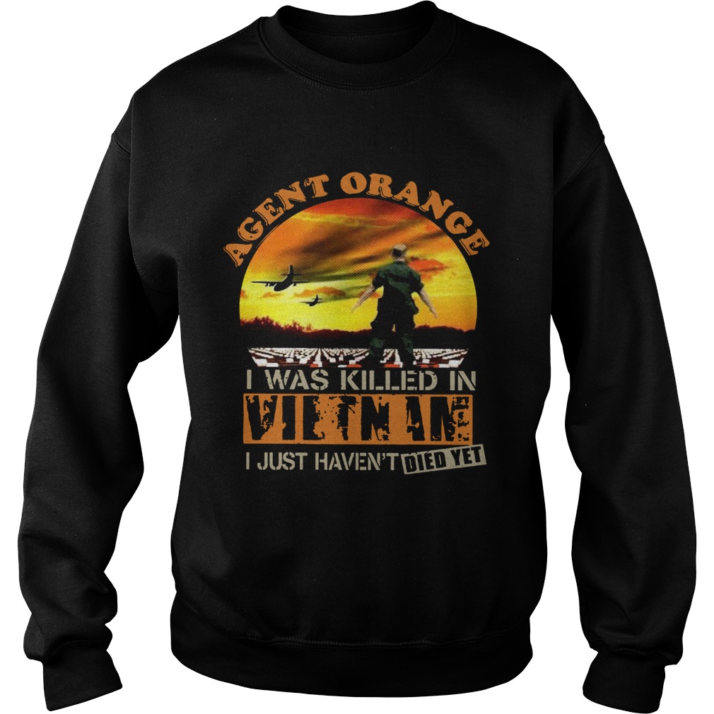 Agent Orange I Was Killed In Vietnam I Just Havent Died Yet  Sweatshirt