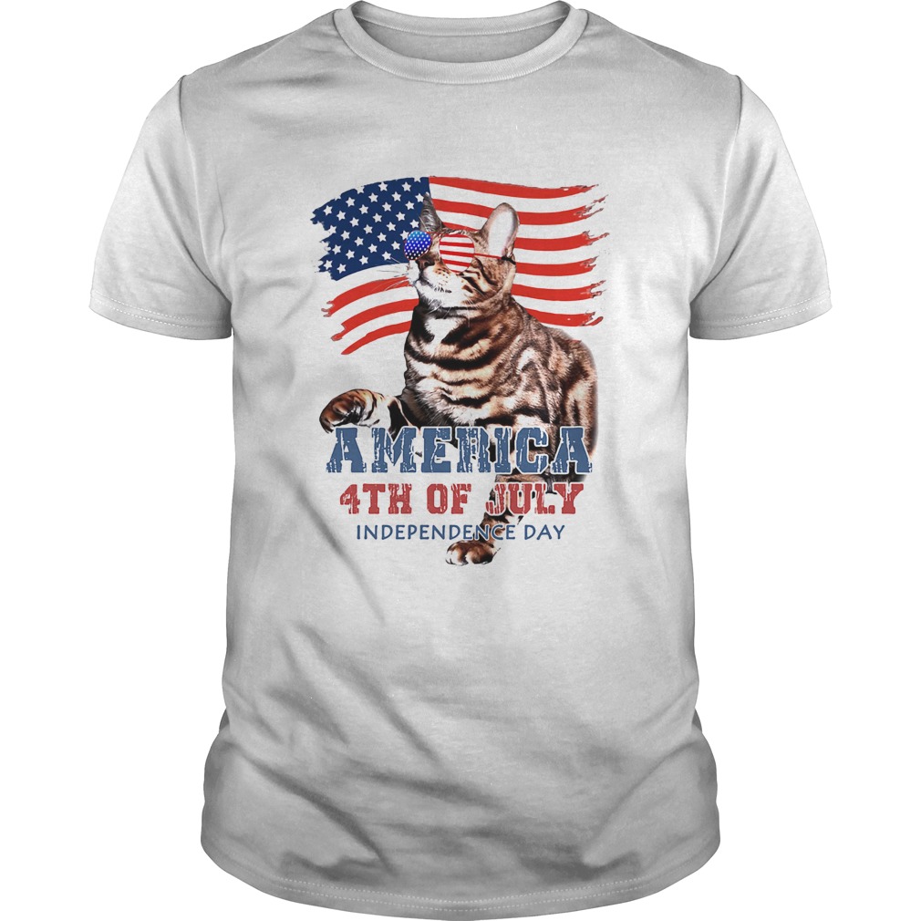 Cat American 4th of July flag veteran Independence day shirt