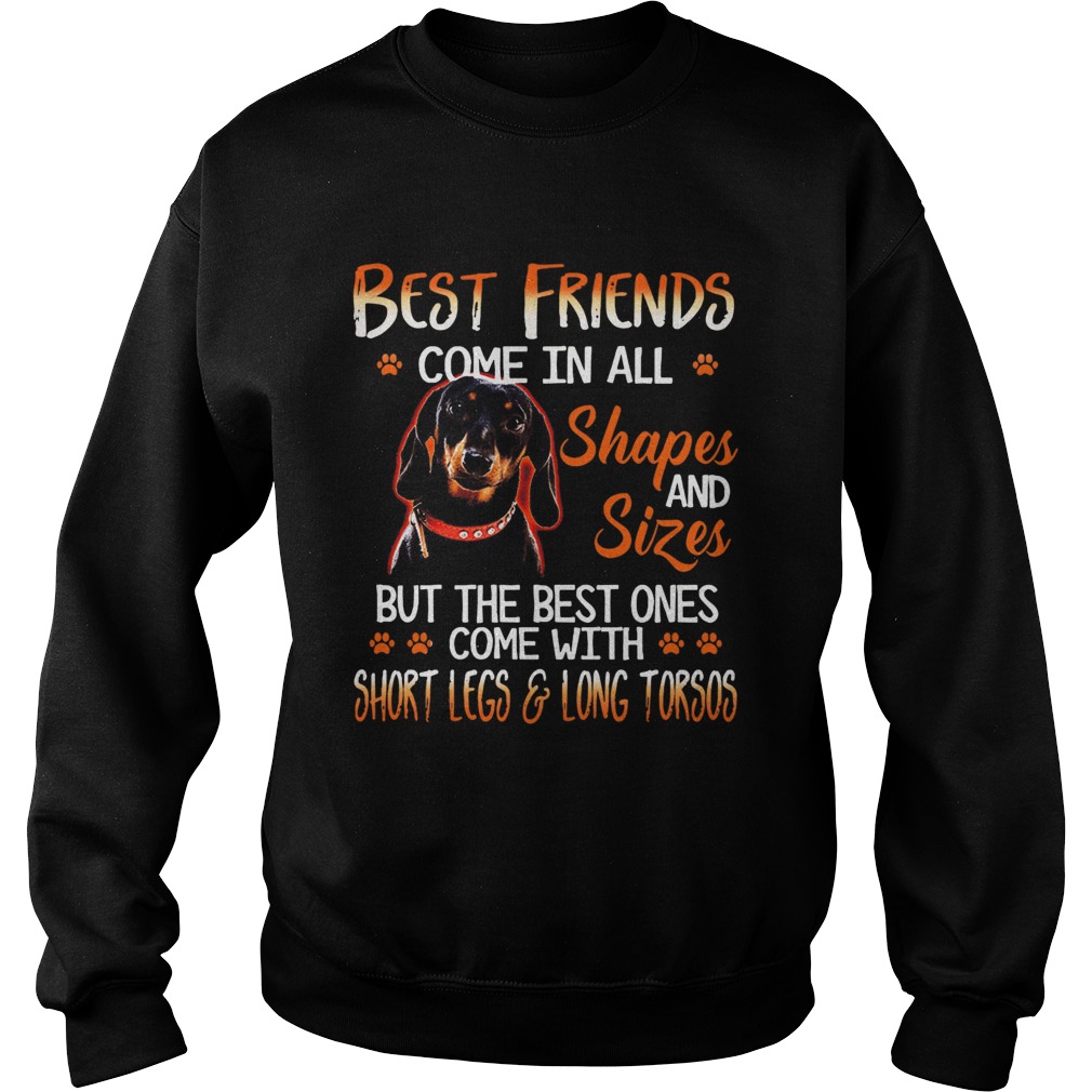 Dachshund Best Friends Come In All Shapes And Sizes  Sweatshirt