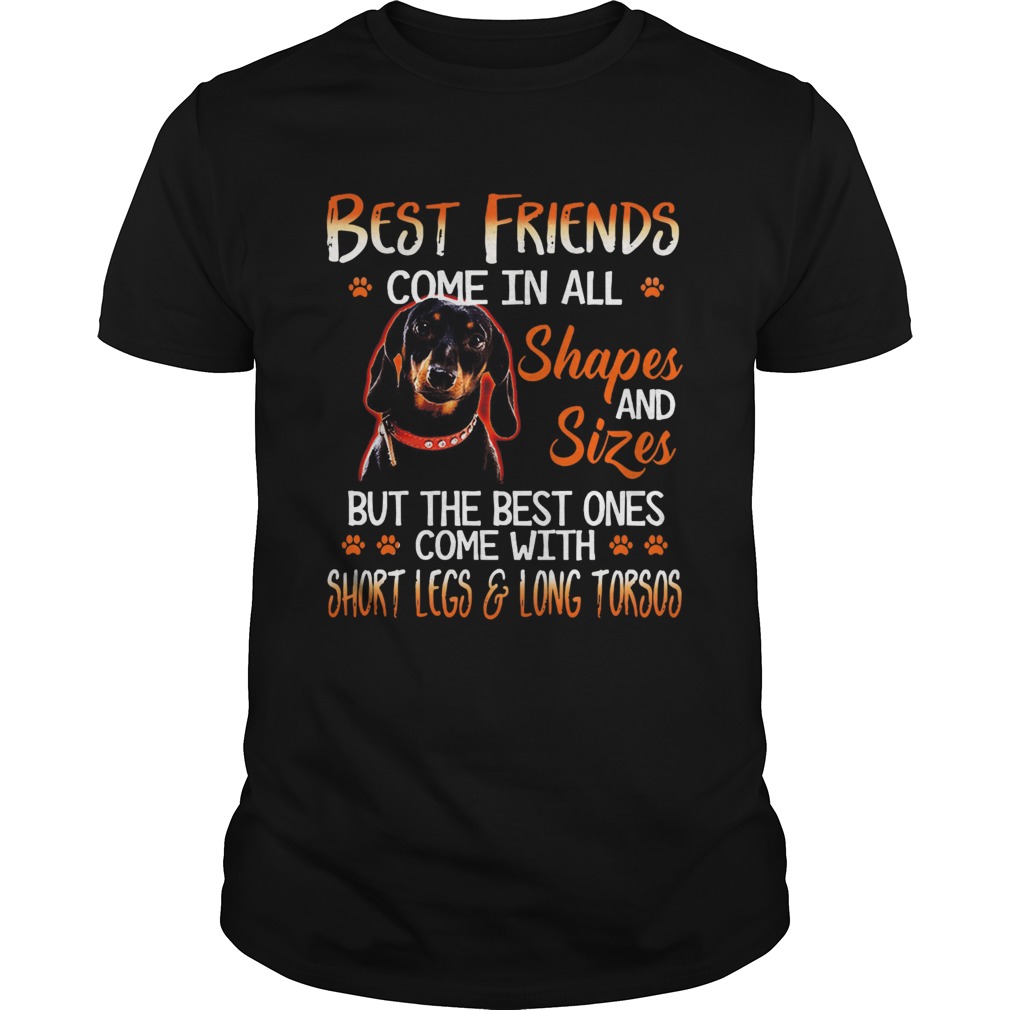 Dachshund Best Friends Come In All Shapes And Sizes  Unisex