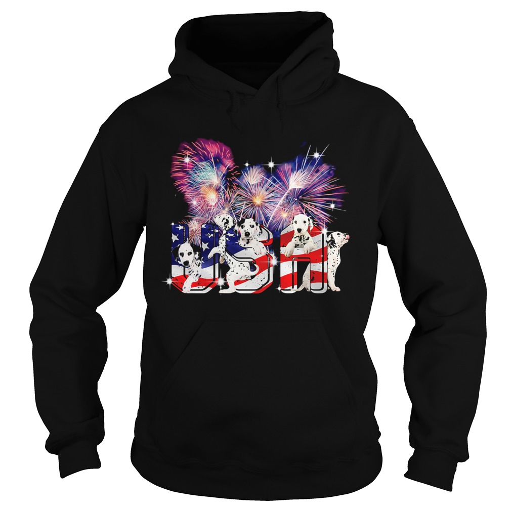 Dalmatian usa firework american flag independence day  Hoodie