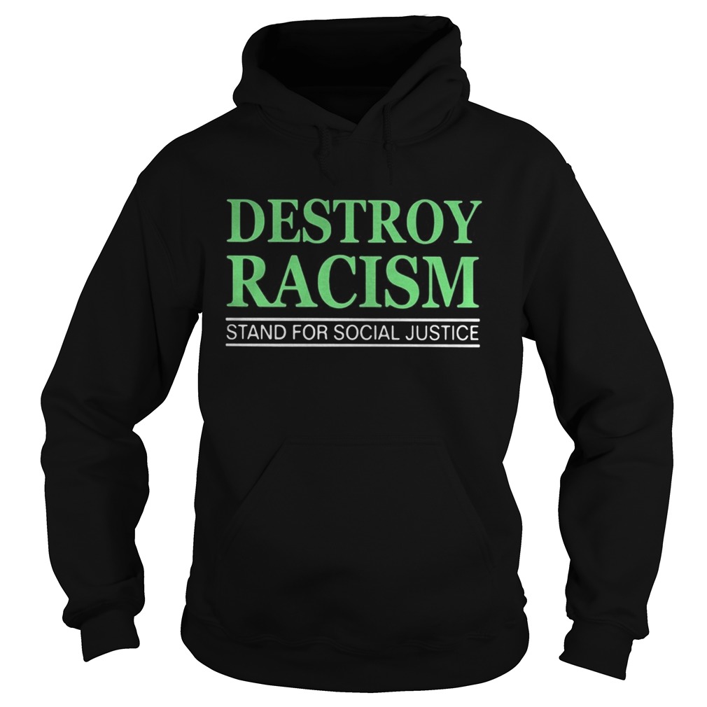 Destroy racism stand for social justice  Hoodie